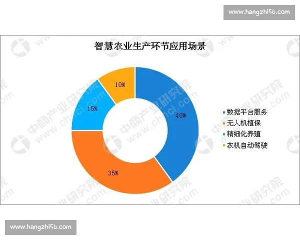 荷兰对阵中国的国际较量透视两国实力与合作前景及未来走向分析展